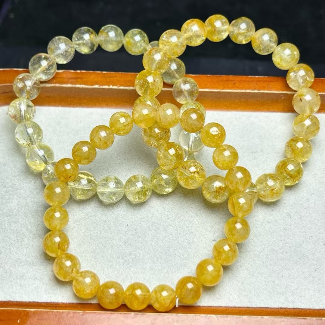 キンモクセイのトパのブレス