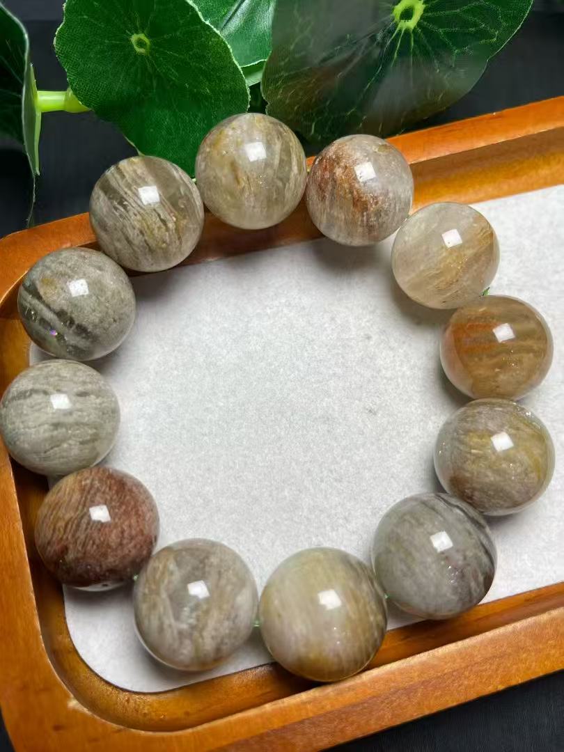 19mm千層幽霊単圏