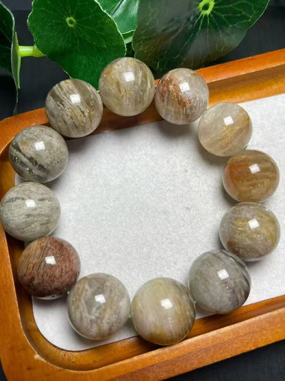 19mm千層幽霊単圏