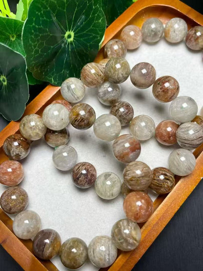 19mm千層幽霊単圏