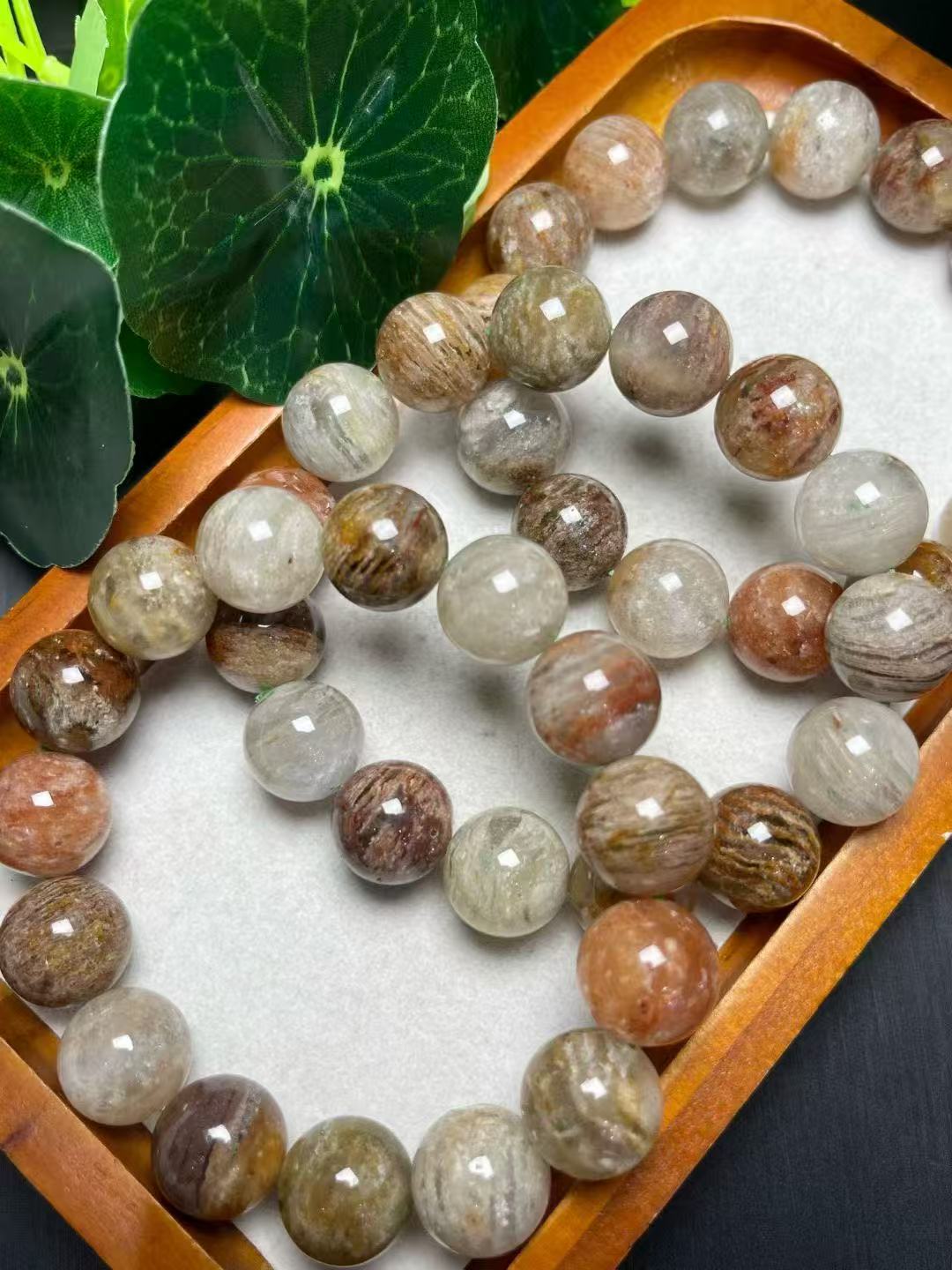 19mm千層幽霊単圏