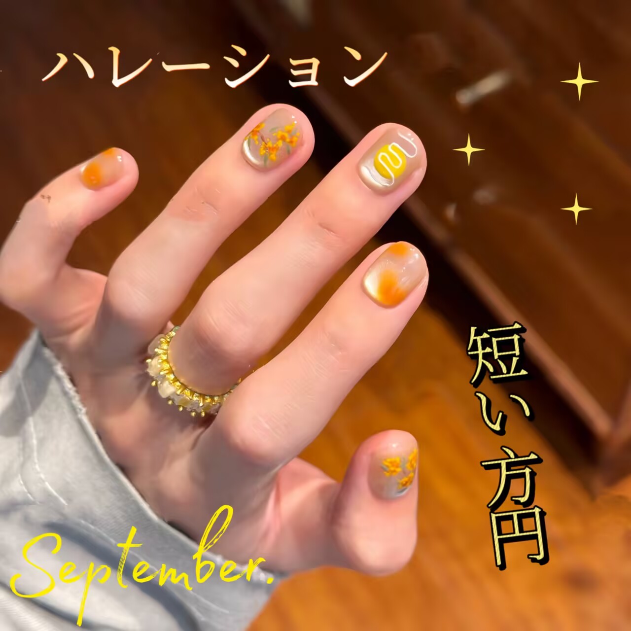 金桂甜醸秋季私語めまい感猫の目きらきら手手描き別格短方円着用甲