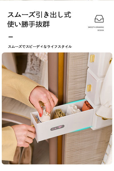 家庭用壁掛け式引出し型下着収納ボックス、洋服ワードローブ用のパンツ・ブラ・靴下収納、家庭用整理用透明仕切り収納